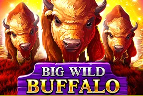 Big Wild Buffalo